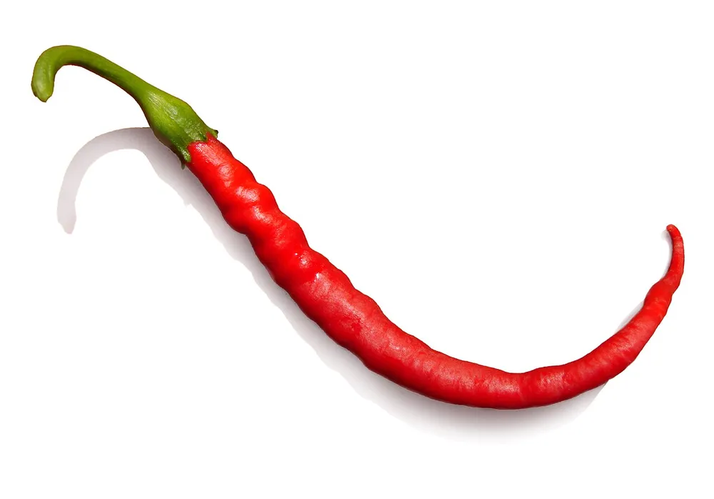 A red chilli pepper on a white background